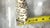Vintage Japanese Bisque Barred Rock Hen Salt and Pepper Shakers, a Pair For Sale - Image 10 of 12