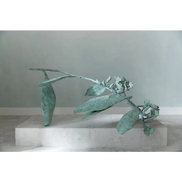 Gerrit Rietveld Euphorbia Sculpture 02 by Herma De Wit For Sale - Image 4 of 6