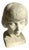 Decorative Bust, France, 1920s For Sale