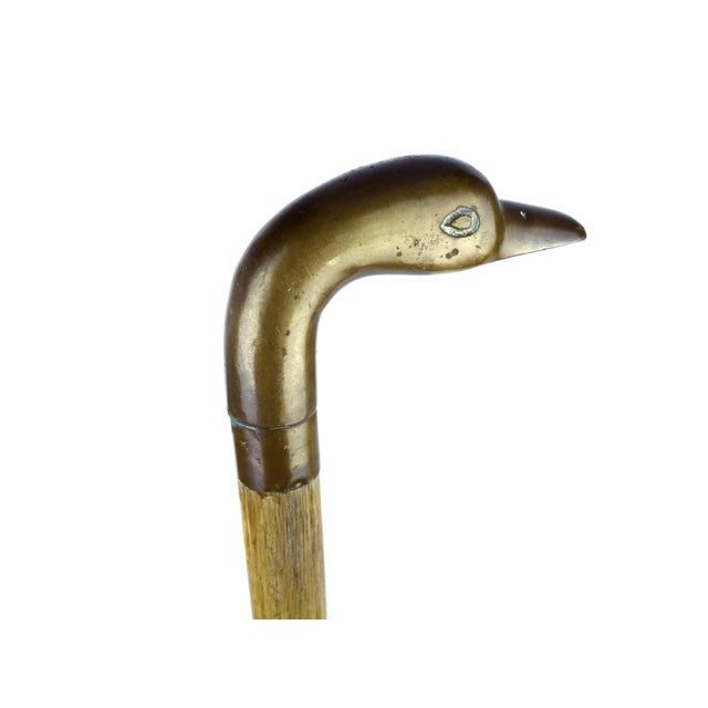 Mid 20th Century Solid Brass Duck Head Handle With Wooden Stick Walking Cane For Sale - Image 4 of 6