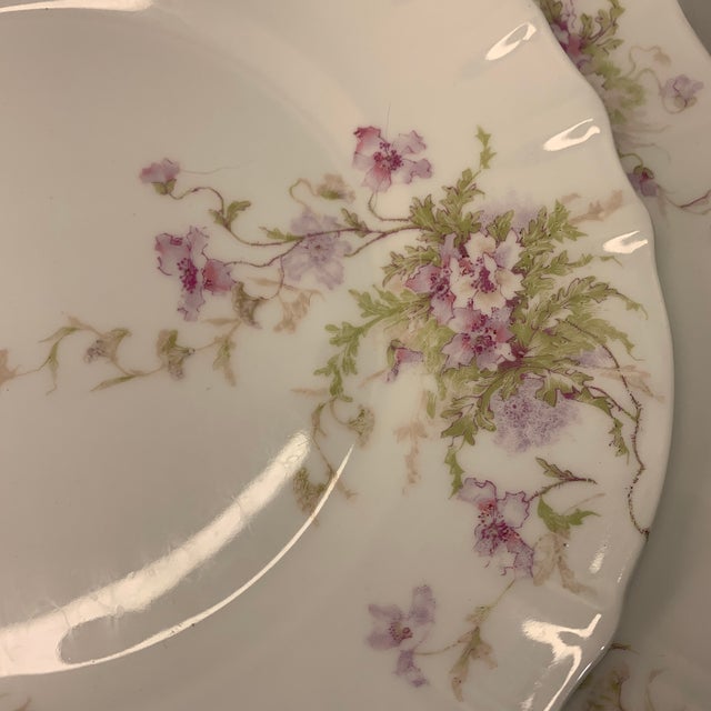 Limoges, France Vintage French Limoges Violet Lavender Spray of Flowers, Six 10” Plates & Six 8” Plates - 12 pcs For Sale - Image 4 of 6