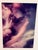 Contemporary Shelly Corbett “Medusa” Signed Limited Edition Fine Art Photograph, 1994 For Sale - Image 3 of 10