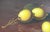 Vintage Original Lemon Still Life Oil Painting For Sale - Image 11 of 12
