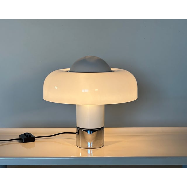 Brumbury Table Lamp by Luigi Massoni for Guzzini, 1970s For Sale - Image 12 of 18