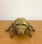 A whimsical brass ladybug featuring a domed, spotted shell, sculpted legs, and red jewel-like eyes. The hinged shell lifts...