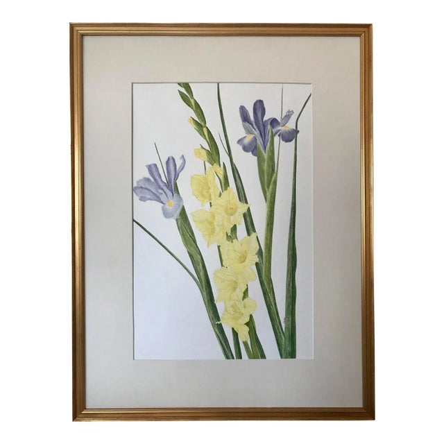 Yellow Vintage Original Watercolor Flowers Iris and Gladiolas Janet Delonga For Sale - Image 8 of 8