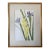 Yellow Vintage Original Watercolor Flowers Iris and Gladiolas Janet Delonga For Sale - Image 8 of 8