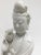 White Vintage Chinese White Porcelain Guanyin For Sale - Image 8 of 13