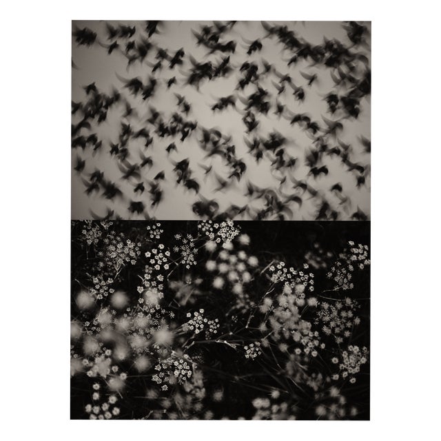 Jaume Llorens Bach, Gaia Diptych #45, Monochrome Photographic Print For Sale