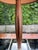 Mid 20th Century Danish Style Mid Century Walnut and Brass Table Lamp For Sale - Image 5 of 13
