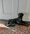 Vintage Black Labrador Door Stop, 1960 For Sale - Image 10 of 12