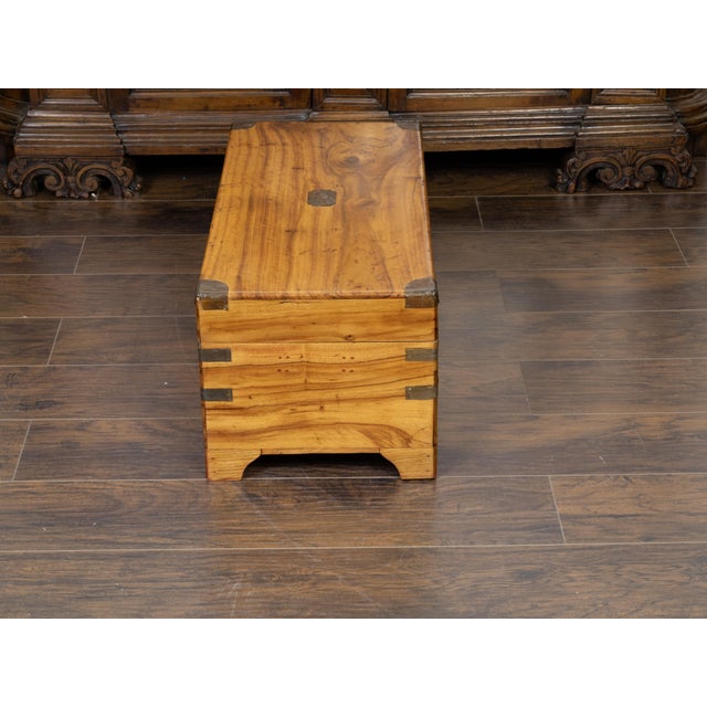 Late 19th Century English 1890s Camphor Wood Small Trunk with Brass Accents and Bracket Feet For Sale - Image 5 of 10