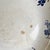 Ceramic Vintage Jane Model Salad Bowl from KG Lunéville, 1890s For Sale - Image 7 of 9