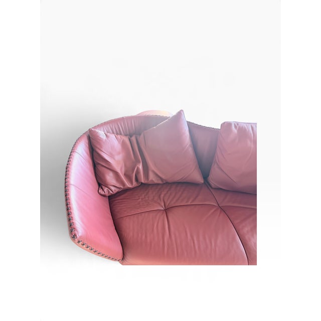 Animal Skin Vintage DS-102 Red Leather Sofa with Ottomans from de Sede, 1990s, Set of 4 For Sale - Image 7 of 9