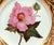 Early 19th Century Antique Derby Porcelain Botanical Plate, Marsh Hibiscus, Salmon Ground With Gilt Swans, John Brewer, Circa 1815 For Sale - Image 5 of 12