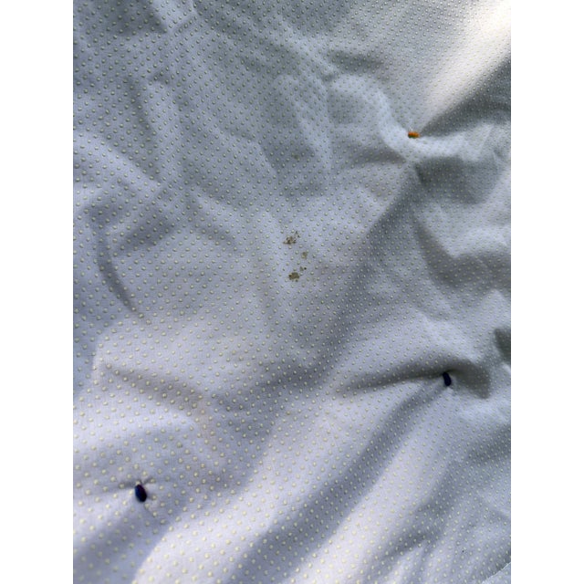 Vintage Butterfly Handmade Quilt For Sale - Image 11 of 12