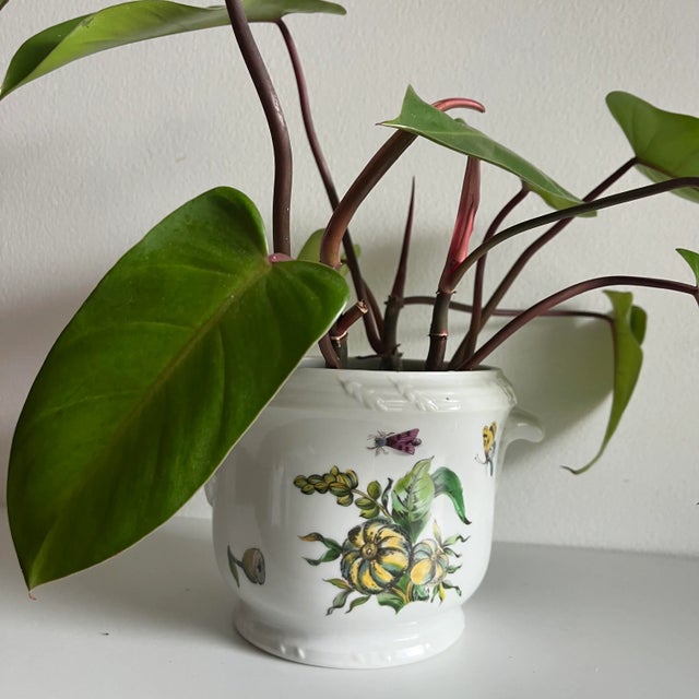 1970s 1970s Mottahedeh the Exotic Plant Cachepot Planter For Sale - Image 5 of 12