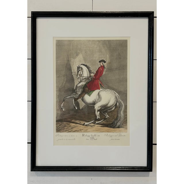 Early 20th Century Antique Equestrian/Dressage Prints, Set of Seven, Framed For Sale - Image 5 of 13