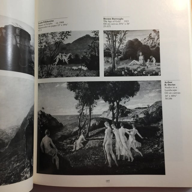 Black 1981 American Art in the Newark Museum Book For Sale - Image 8 of 10
