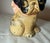 1920s Antique Original Grace Drayton Cast Iron Hubley Dog Bee Coin Still Bank 1900s For Sale - Image 5 of 13