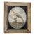 Antique 18th Century English George III Needlework of an Exotic Bird in Original Gilt Wood Frame For Sale