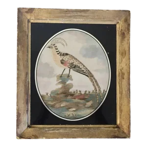 Antique 18th Century English George III Needlework of an Exotic Bird in Original Gilt Wood Frame