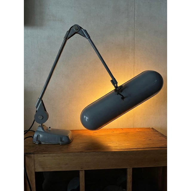 Gray Large Desk Lamp by Ernst Rademacher for Rademacher, 1960s For Sale - Image 8 of 11