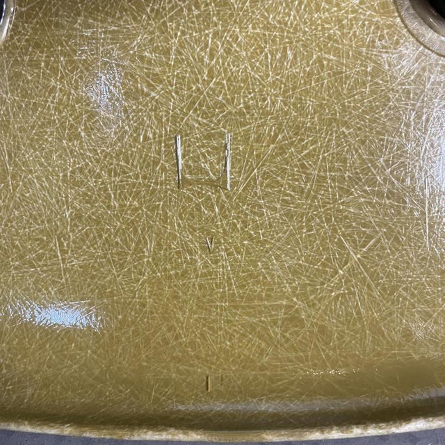 DSW Side Chairs in Parchment, Navy Blue, Light Olive and Light Ochre by Eames for Herman Miller, 1960s, Set of 4 For Sale - Image 14 of 17