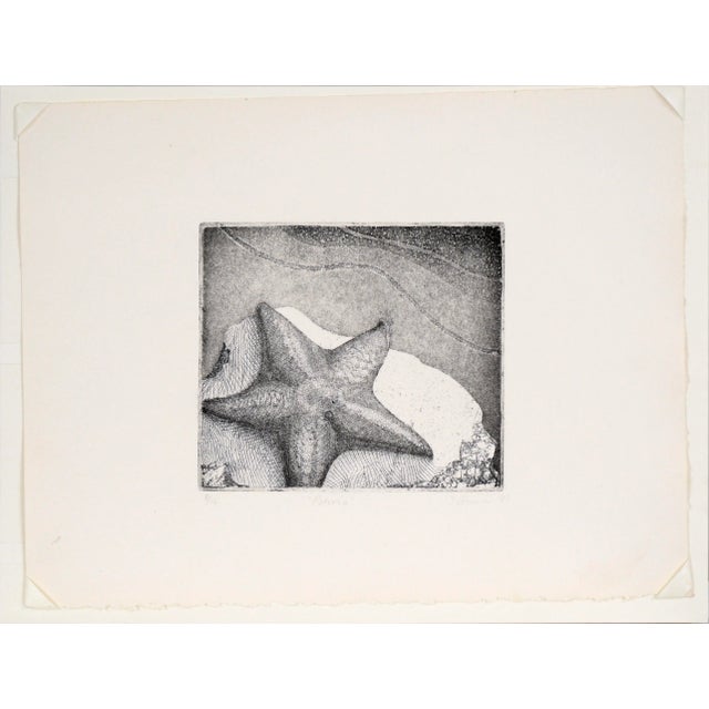 Delightfully detailed starfish at the shore by unknown artist J. Brown (20th Century). A starfish sits atop a rock at the...