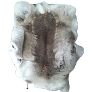 Light Brown Reindeer Hide For Sale