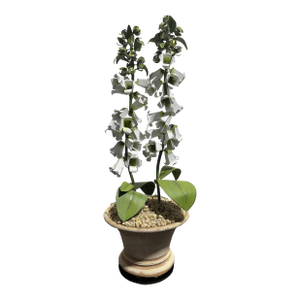 Late 20th Century Metal Foxglove Sculpture