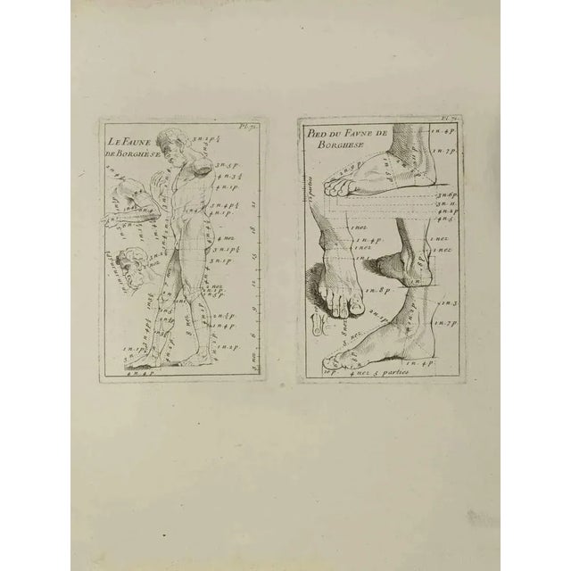 Anatomy Studies is an etching realized by Jean Francois Poletnich in 1755. Good conditions with foxing. The artwork is...