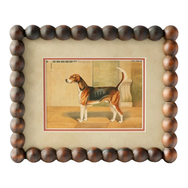 “Belvoir Dexter, 1885” — English Sporting Dog Lithograph After g.h. Burgess For Sale