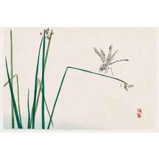 Dragonfly on Bulrush Leaf by Kōno Bairei, Vintage Japanese Art Print Reproduction, 24" X 16" For Sale