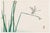 Dragonfly on Bulrush Leaf by Kōno Bairei, Vintage Japanese Art Print Reproduction, 24" X 16" For Sale