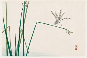 Dragonfly on Bulrush Leaf by Kōno Bairei, Vintage Japanese Art Print Reproduction, 24" X 16"