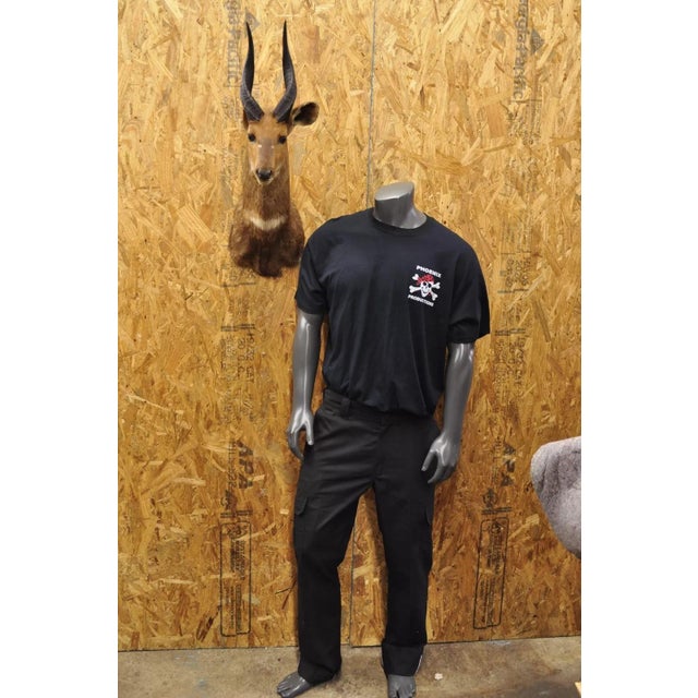 Vintage African Cape Bushbuck Taxidermy Shoulder Mount Cabin Wall Decor For Sale - Image 10 of 12