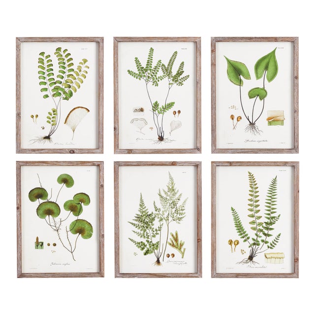 Shade Garden Study, Set Of 6 For Sale