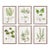 Shade Garden Study, Set Of 6 For Sale