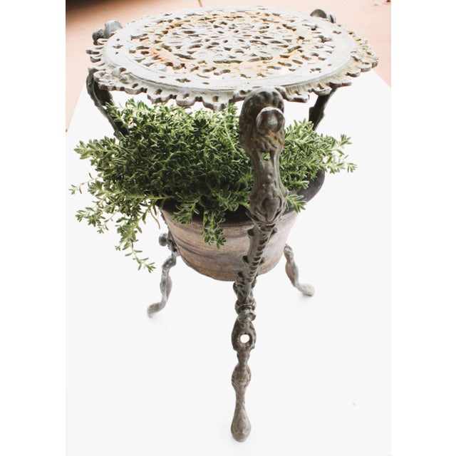 Patinated French Plant Stand/Matt Gray Cache Pot For Sale - Image 4 of 10