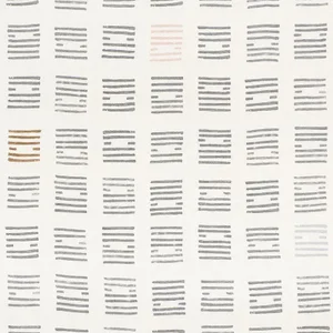 Schumacher X Caroline Z Hurley Tiasquam Fabric in Charcoal