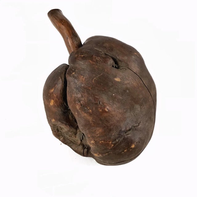 A very cool and highly unusual solid wood organic work of art. This root bulb has been thoroughly cleaned and polished....