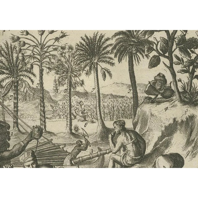 Global Harvests and Crafts: from the East Indies to Chinese Lacquerwork, 1800s, Paper For Sale - Image 6 of 12