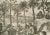 Global Harvests and Crafts: from the East Indies to Chinese Lacquerwork, 1800s, Paper For Sale - Image 6 of 12