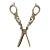 Antique Hampton Utilities (Birmingham) Ltd Grapevine Pattern Scissors For Sale