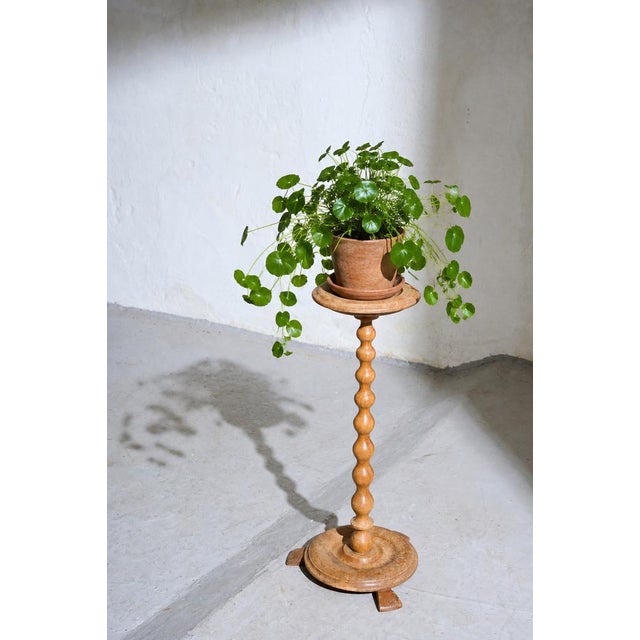 Brown Scandinavian Pedestal Stand in Oak with Turned Column, 1950s For Sale - Image 8 of 9