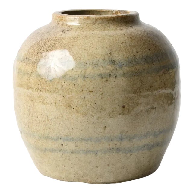 Chinese Ceramic Ginger Jar, 1800s For Sale