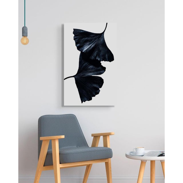 Exclusively available in the U.S. through ART AT HOME, Ginkgo Biloba II is a framed and ready to hang limited edition...