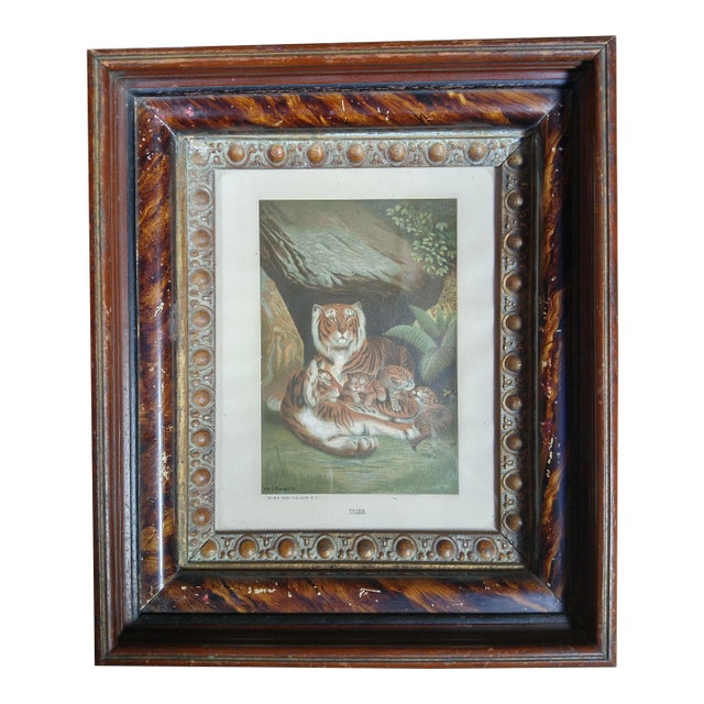 Late 19th Century Antique Louis Prang Tigress + Cubs Victorian Framed Aquatint Print For Sale