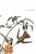 Illustration Mango Hummingbird, Museum Style Audubon Bird Print, 24" X 36" For Sale - Image 3 of 11